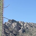 arizona from kells camera - IMG_3017